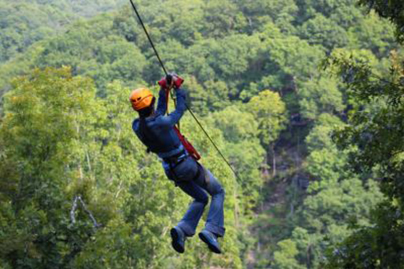 zipline