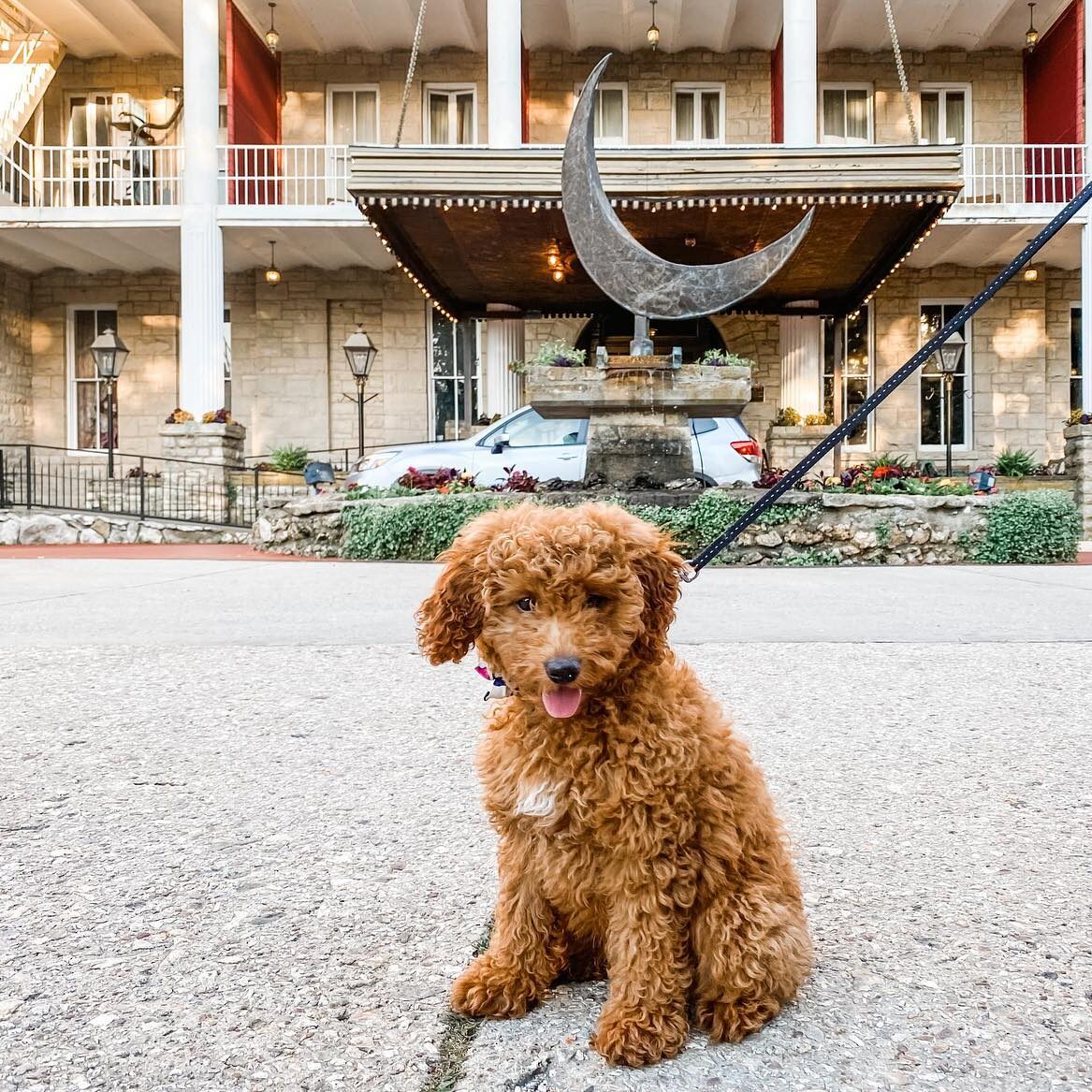 per friendly crescent hotel