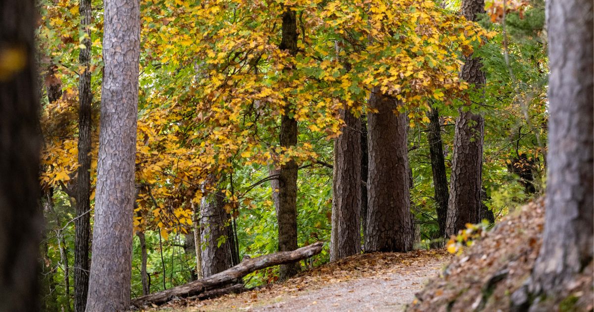 fall hiking eureka springs fall hiking eureka springs